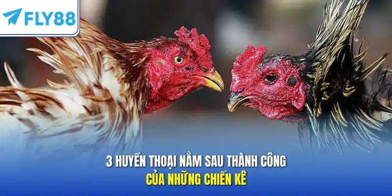 3 huyền thoại nằm sau thành công của những chiến kê