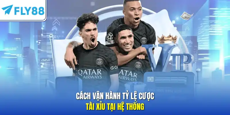 Cách vận hành tỷ lệ cược tài xỉu tại hệ thống
