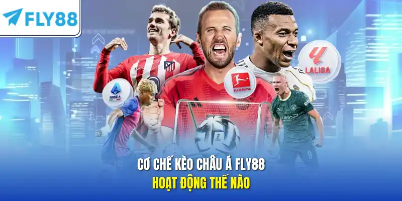 Cơ chế kèo Châu Á FLY88 hoạt động thế nào