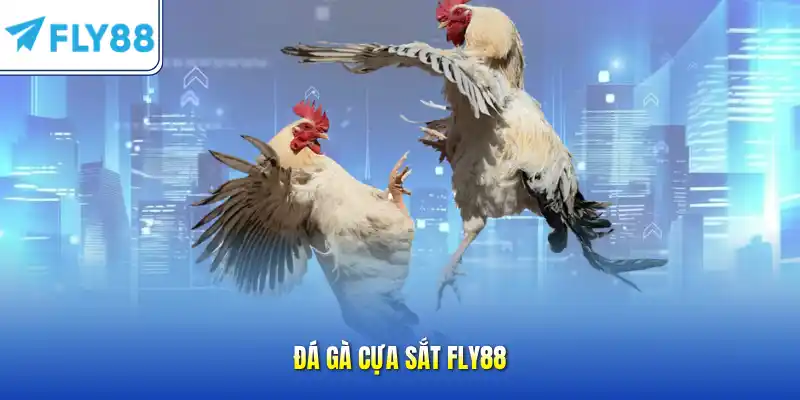 Đá gà cựa sắt FLY88
