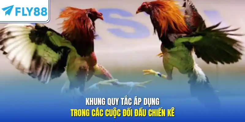 Khung quy tắc áp dụng trong các cuộc đối đầu chiến kê
