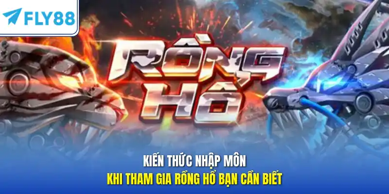Kiến thức nhập môn khi tham gia rồng hổ bạn cần biết 