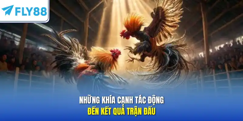 Những khía cạnh tác động đến kết quả trận đấu